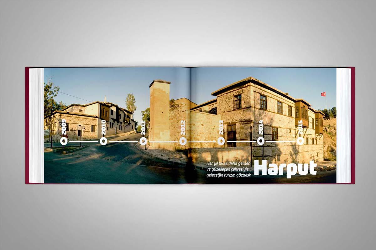 elazig-il-ozel-idaresi-2014-faaliyet-raporu-detay2