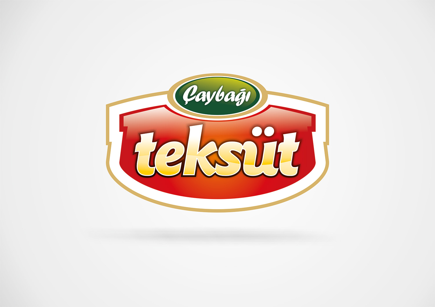 caybagi teksut logo