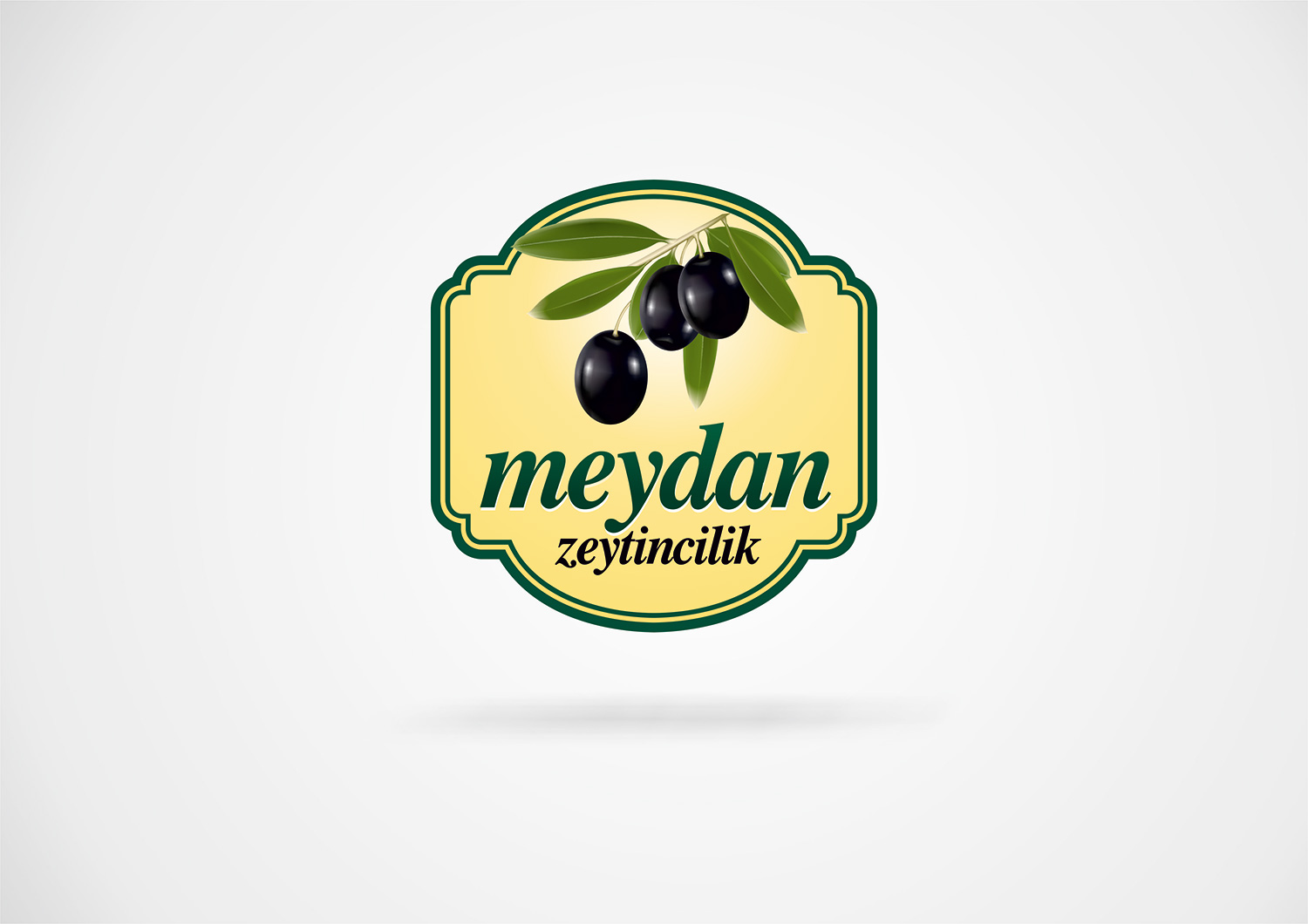 meydan zeytincilik elazig logo