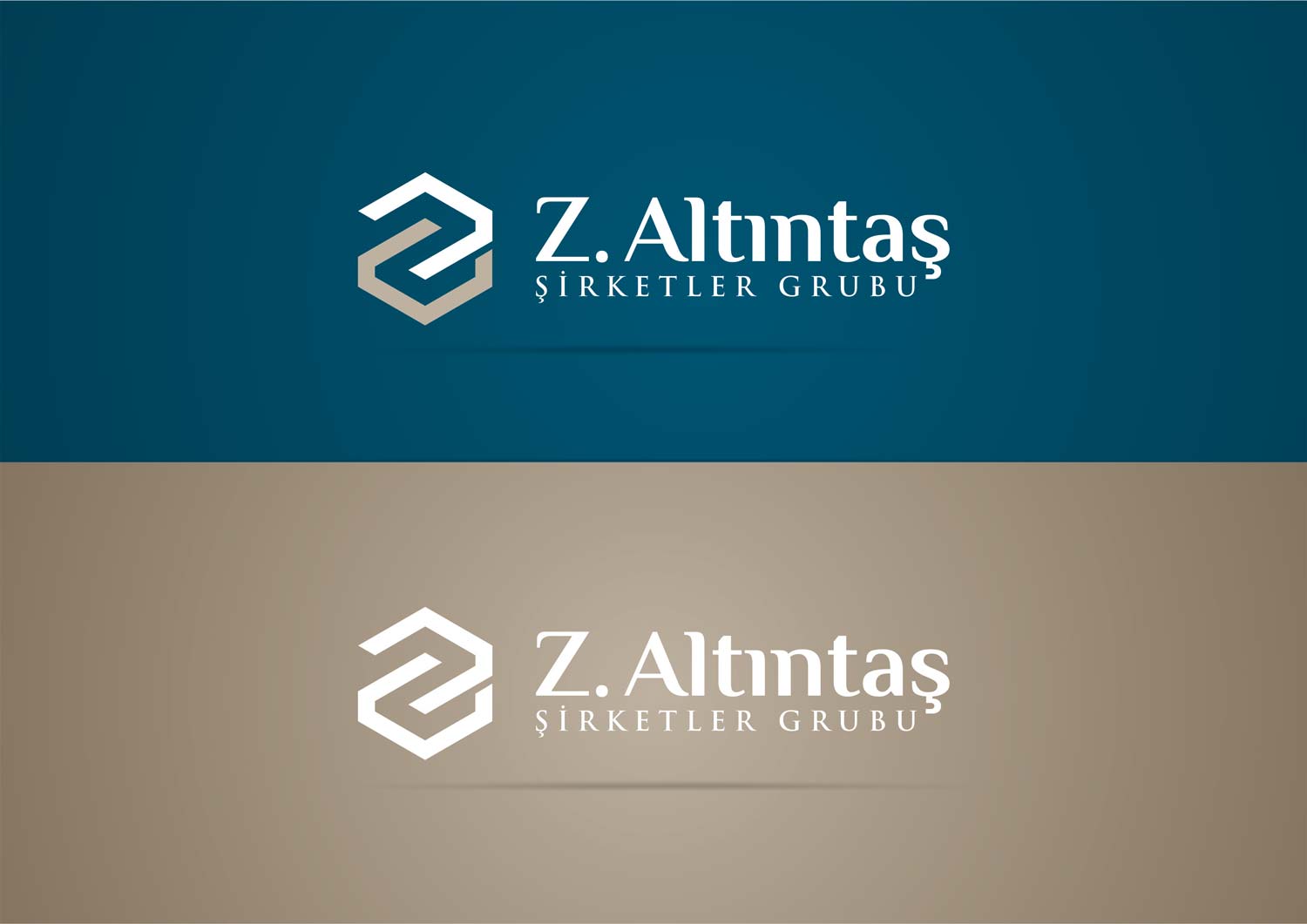 z altintas logo tasarimi zeminli