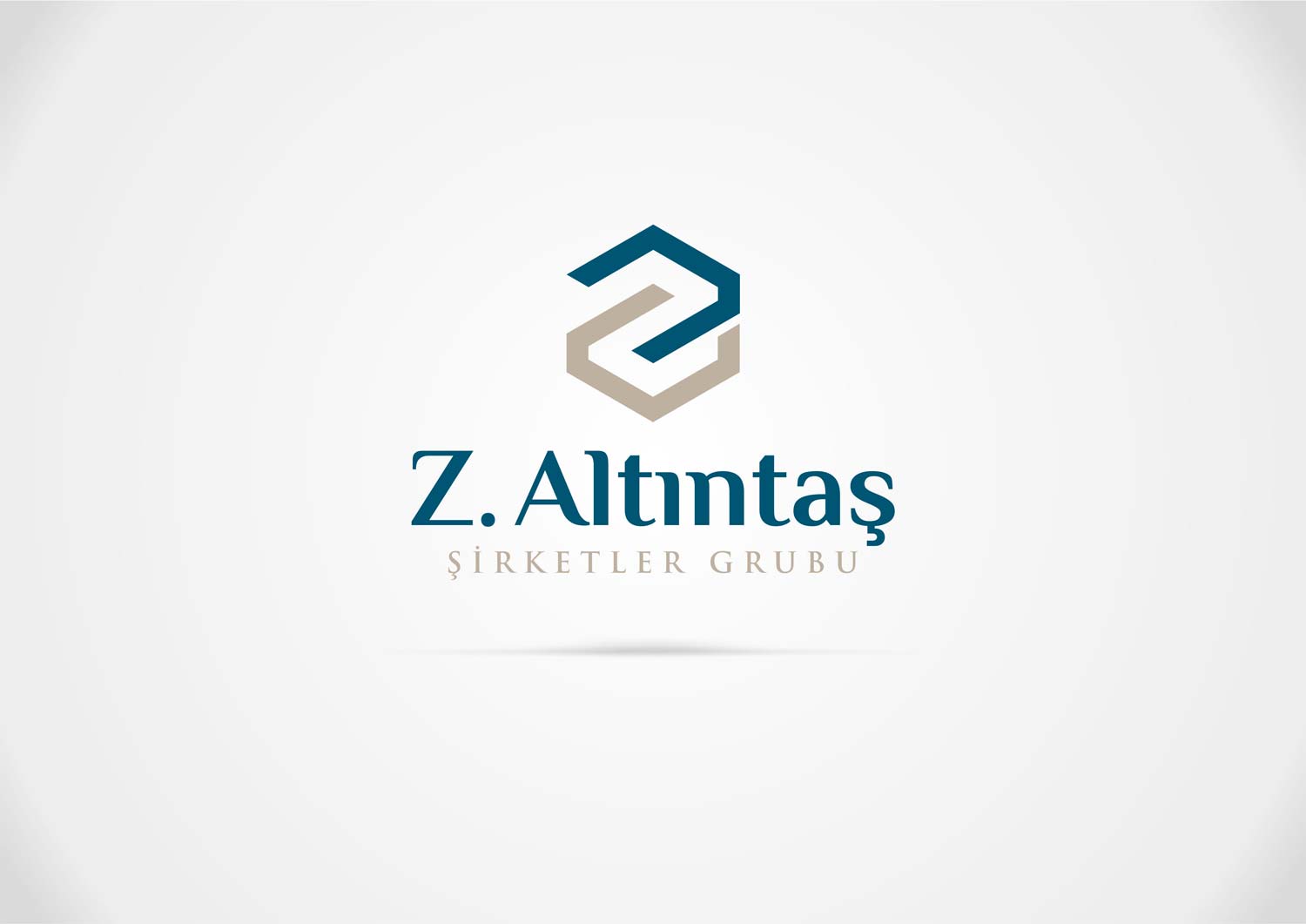 z altintas logo tasarimi